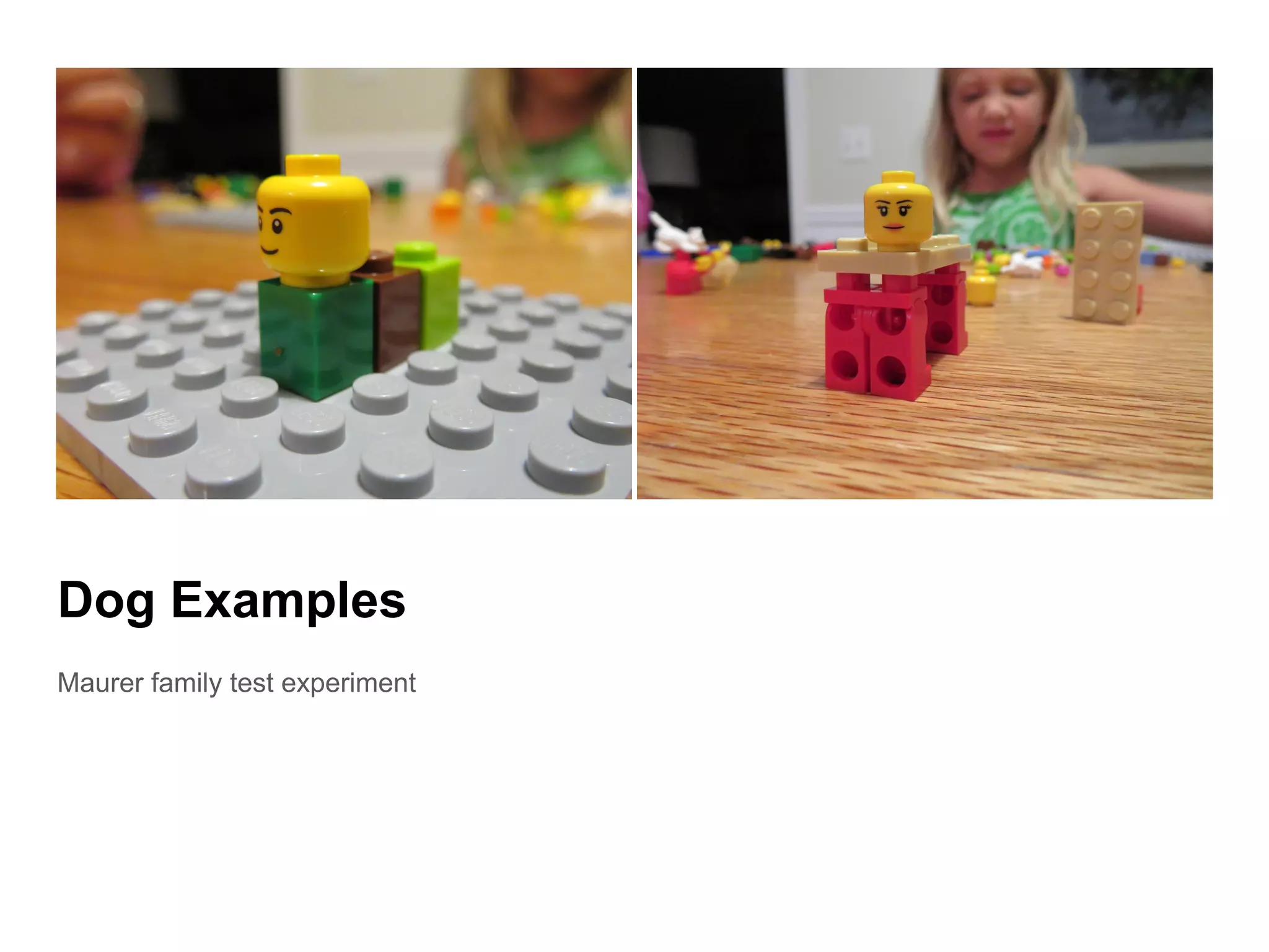 Dog Examples
Maurer family test experiment
 