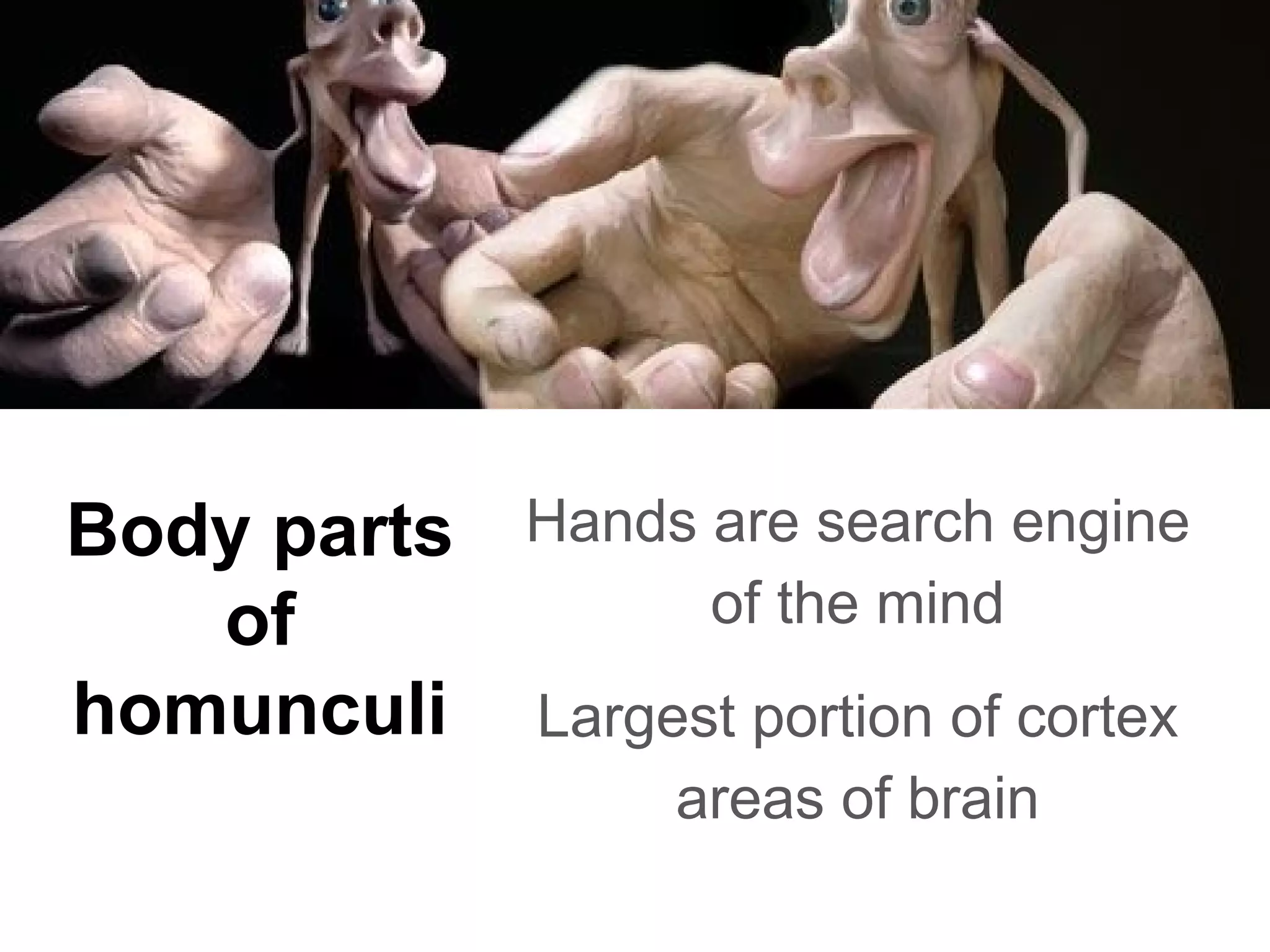 Body parts
of
homunculi
Hands are search engine
of the mind
Largest portion of cortex
areas of brain
 
