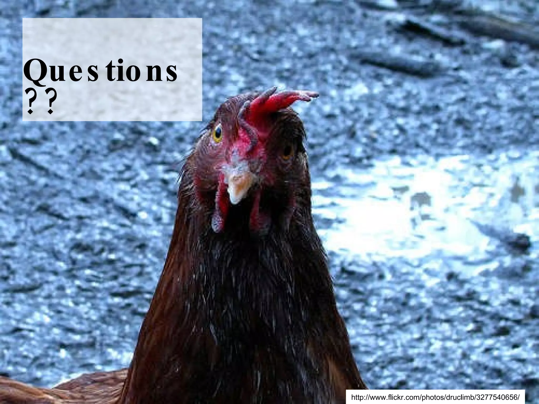 Questions?? http://www.flickr.com/photos/druclimb/3277540656/ 