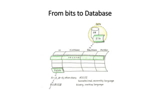From bits to Database
 