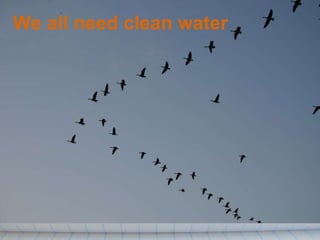 We all need clean water 
