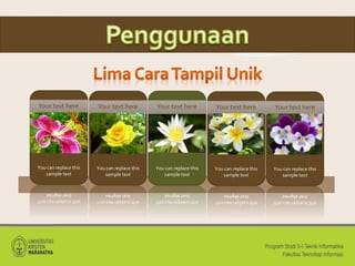 Your text here
You can replace this
sample text
Your text here
You can replace this
sample text
Your text here
You can replace this
sample text
Your text here
You can replace this
sample text
Your text here
You can replace this
sample text
 