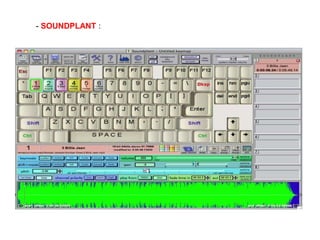 - SOUNDPLANT :
 