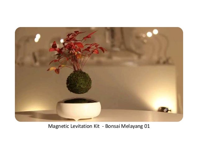 Make your Bonsai Flying using Magnetic Levitation Kit