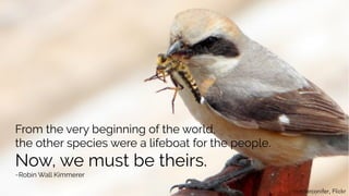 From the very beginning of the world,
the other species were a lifeboat for the people.
Now, we must be theirs.
~Robin Wal...