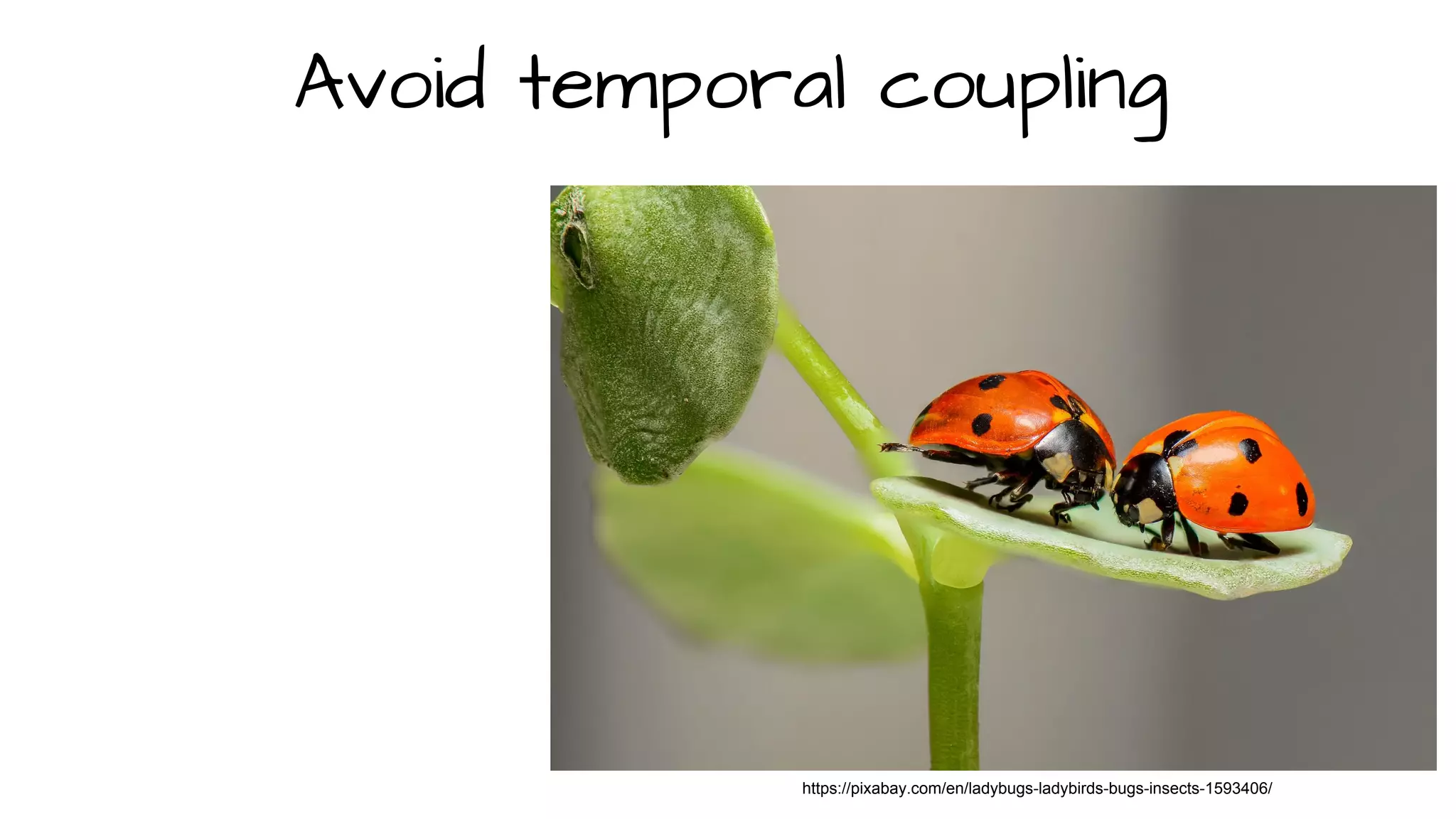 https://pixabay.com/en/ladybugs-ladybirds-bugs-insects-1593406/
Avoid temporal coupling
 