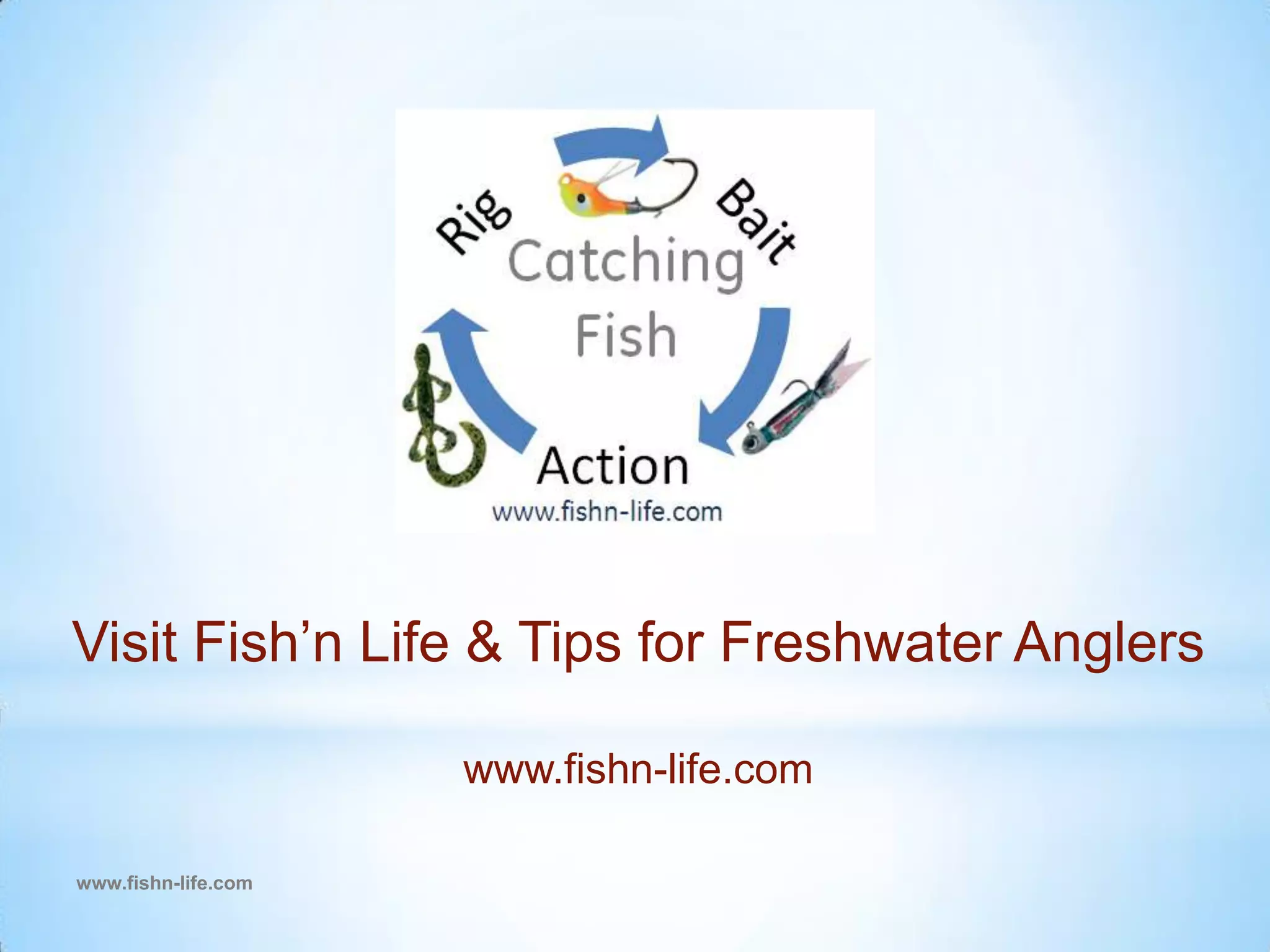 2 different size nails with flat heads www.fishn-life.comMaking a Jig Head: STEP ONE Obtain a hook and desired split shot size