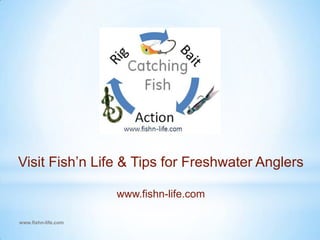 2 different size nails with flat heads www.fishn-life.comMaking a Jig Head: STEP ONE Obtain a hook and desired split shot size