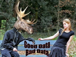 Good Data Bad Data 