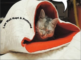 I am Well Kept & Protected 