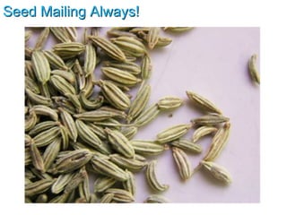 Seed Mailing Always! 