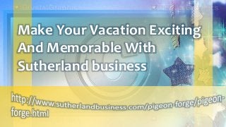 Make Your Vacation Exciting
And Memorable With
Sutherland business
 