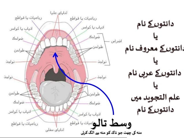 Makharij
