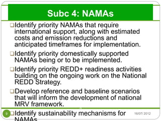 Makhoka NAMA priorities in Kenya july 2012