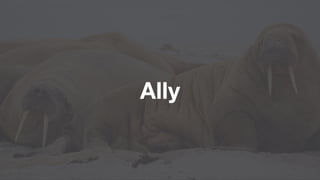 Ally
 