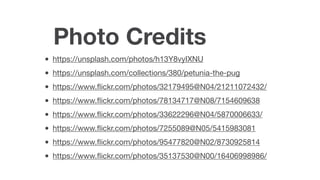 Photo Credits
• https://unsplash.com/photos/h13Y8vyIXNU

• https://unsplash.com/collections/380/petunia-the-pug

• https://www.ﬂickr.com/photos/32179495@N04/21211072432/

• https://www.ﬂickr.com/photos/78134717@N08/7154609638

• https://www.ﬂickr.com/photos/33622296@N04/5870006633/

• https://www.ﬂickr.com/photos/7255089@N05/5415983081

• https://www.ﬂickr.com/photos/95477820@N02/8730925814

• https://www.ﬂickr.com/photos/35137530@N00/16406998986/
 