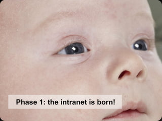 Phase 1: the intranet is born! 