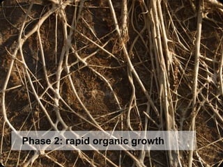 Phase 2: rapid organic growth 