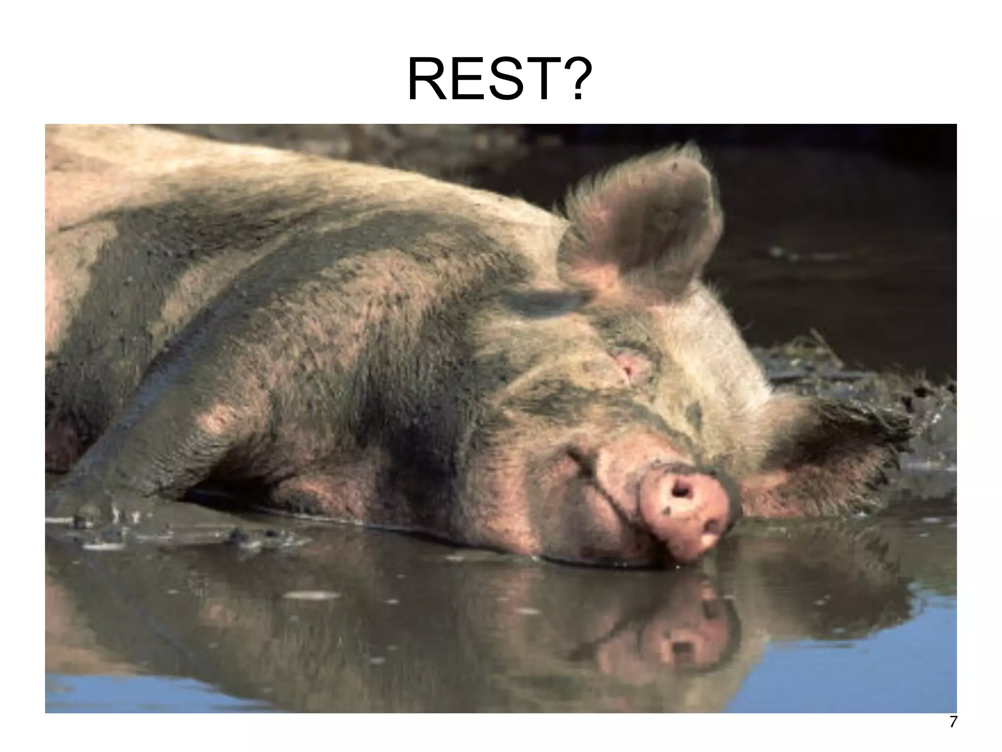 REST? 7 