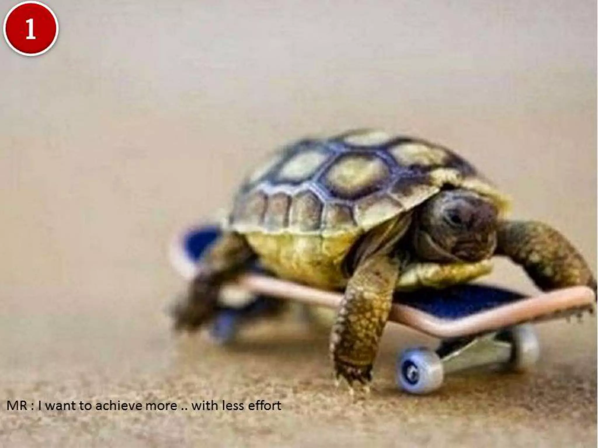 Making SFE Work for Field Force