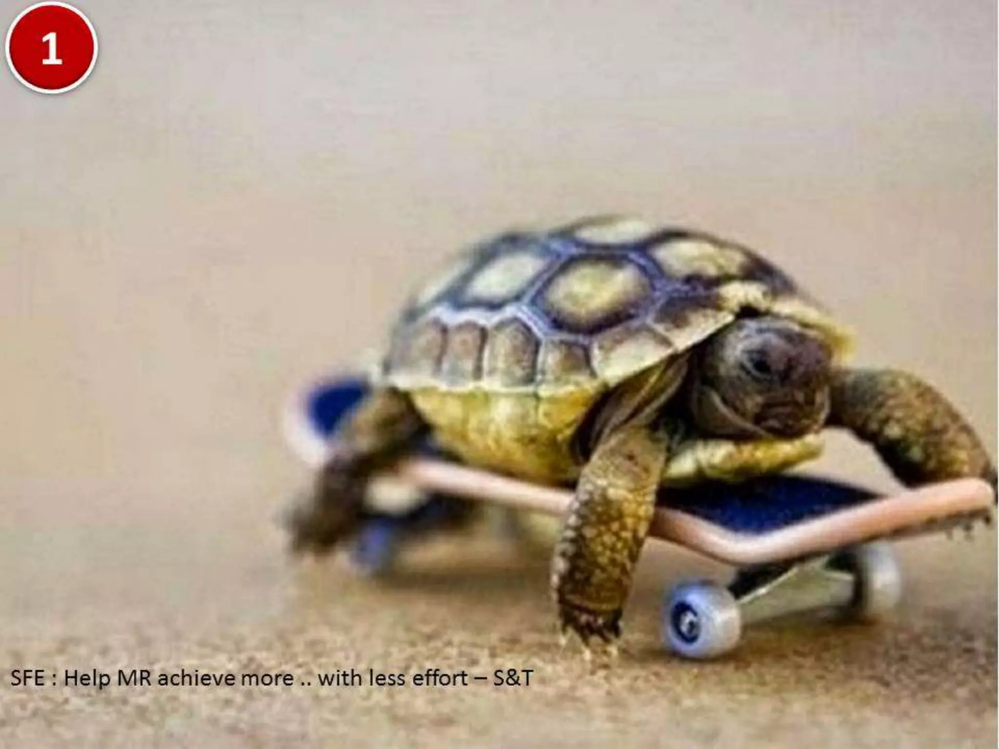 Making SFE Work for Field Force