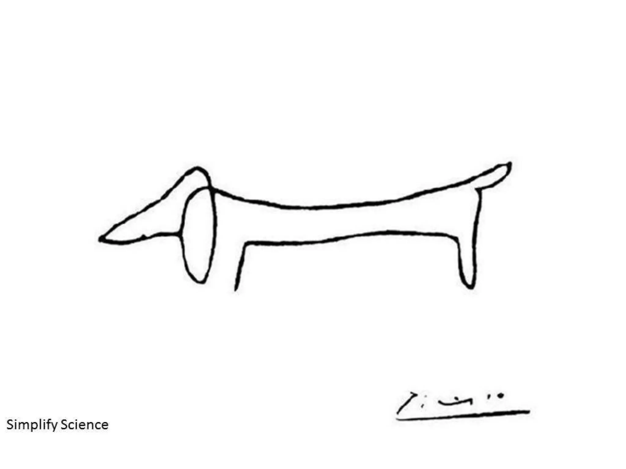 Making SFE Work for Field Force