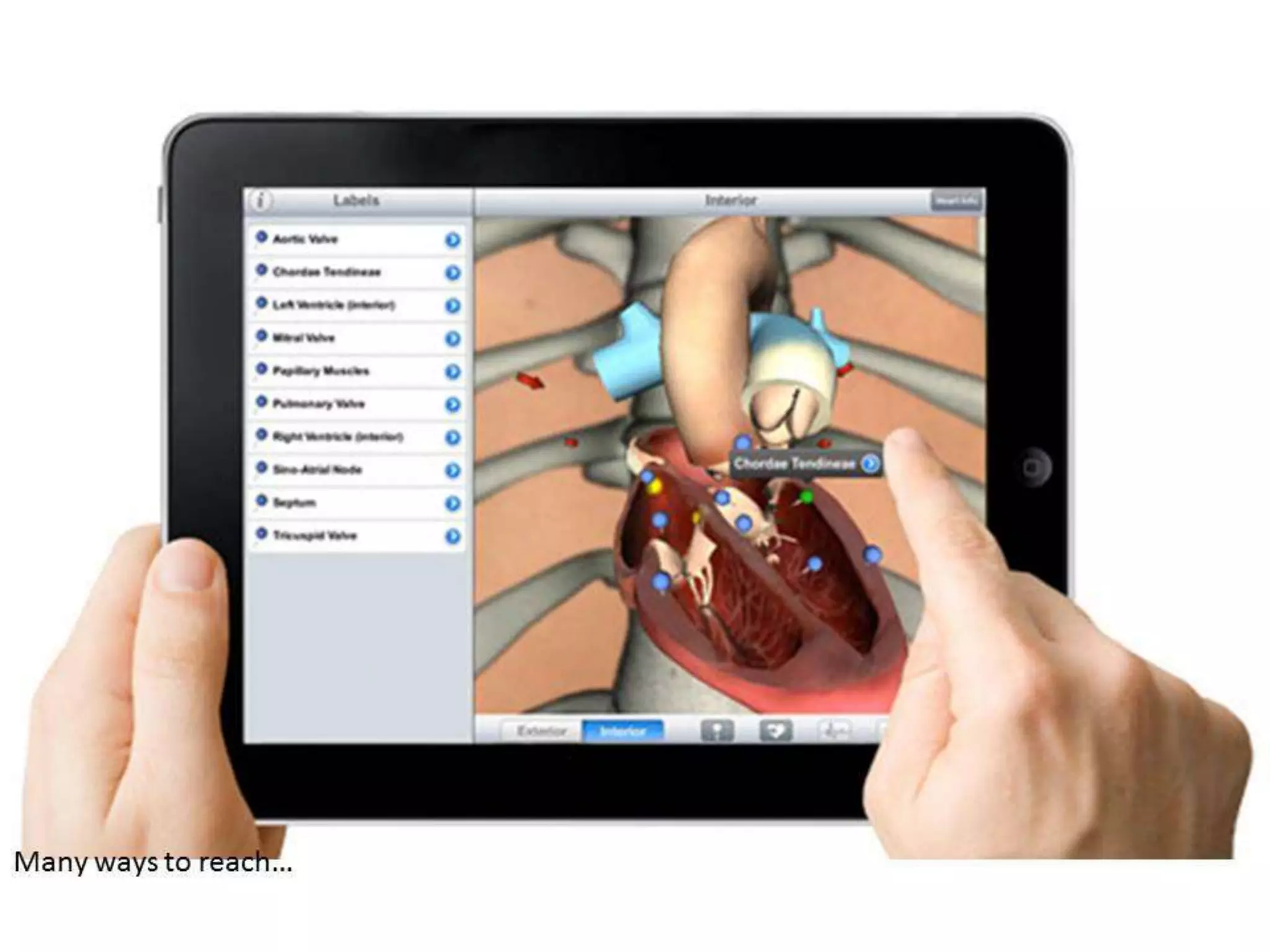 Making SFE Work for Field Force