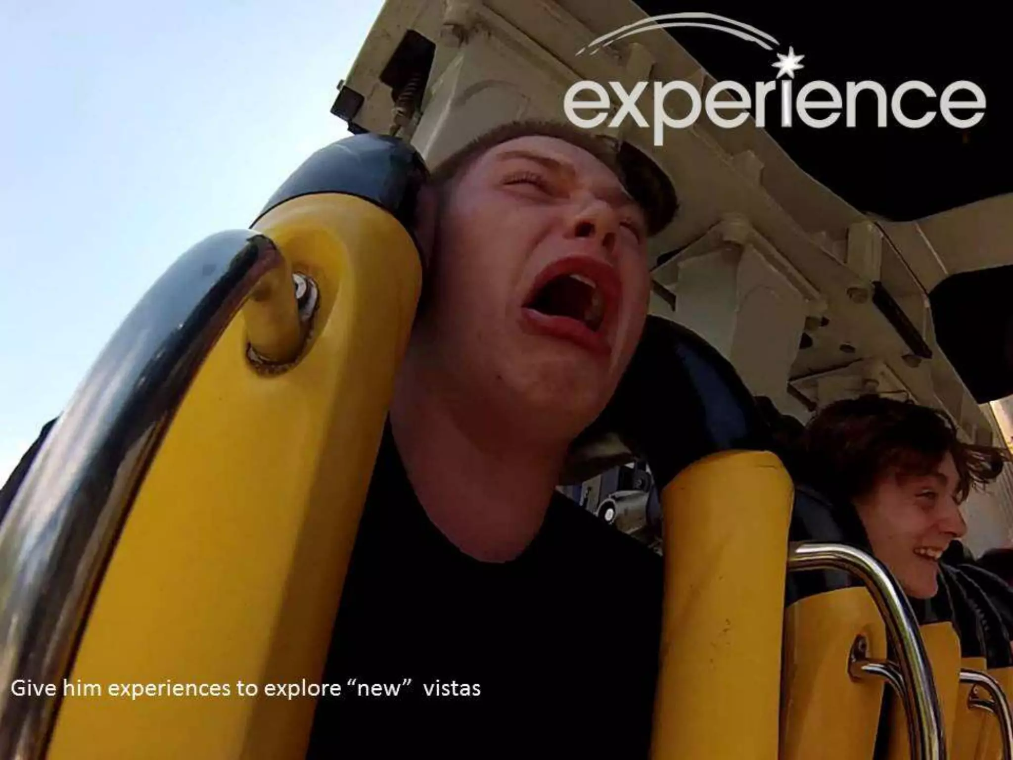 Making SFE Work for Field Force