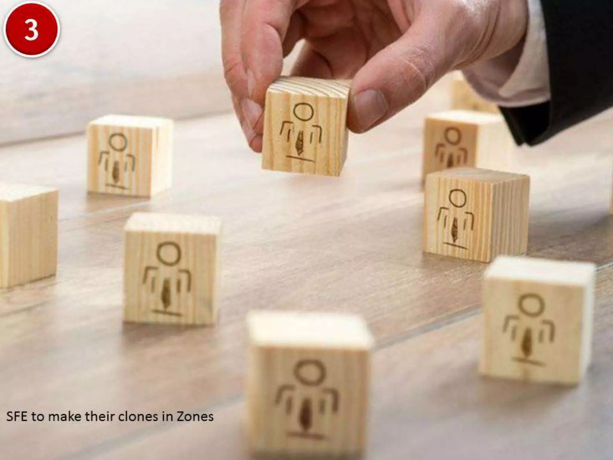 Making SFE Work for Field Force