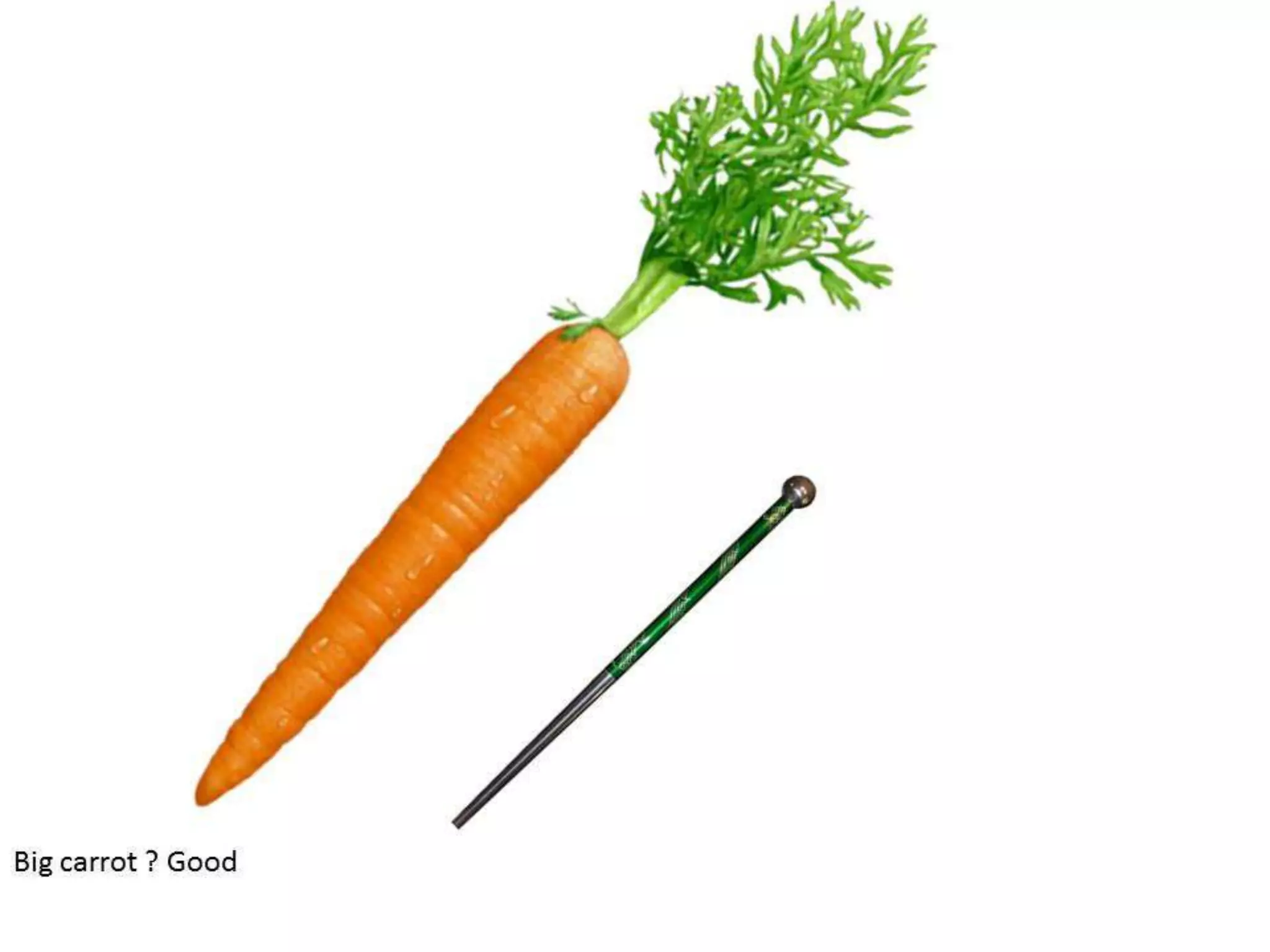 Making SFE Work for Field Force