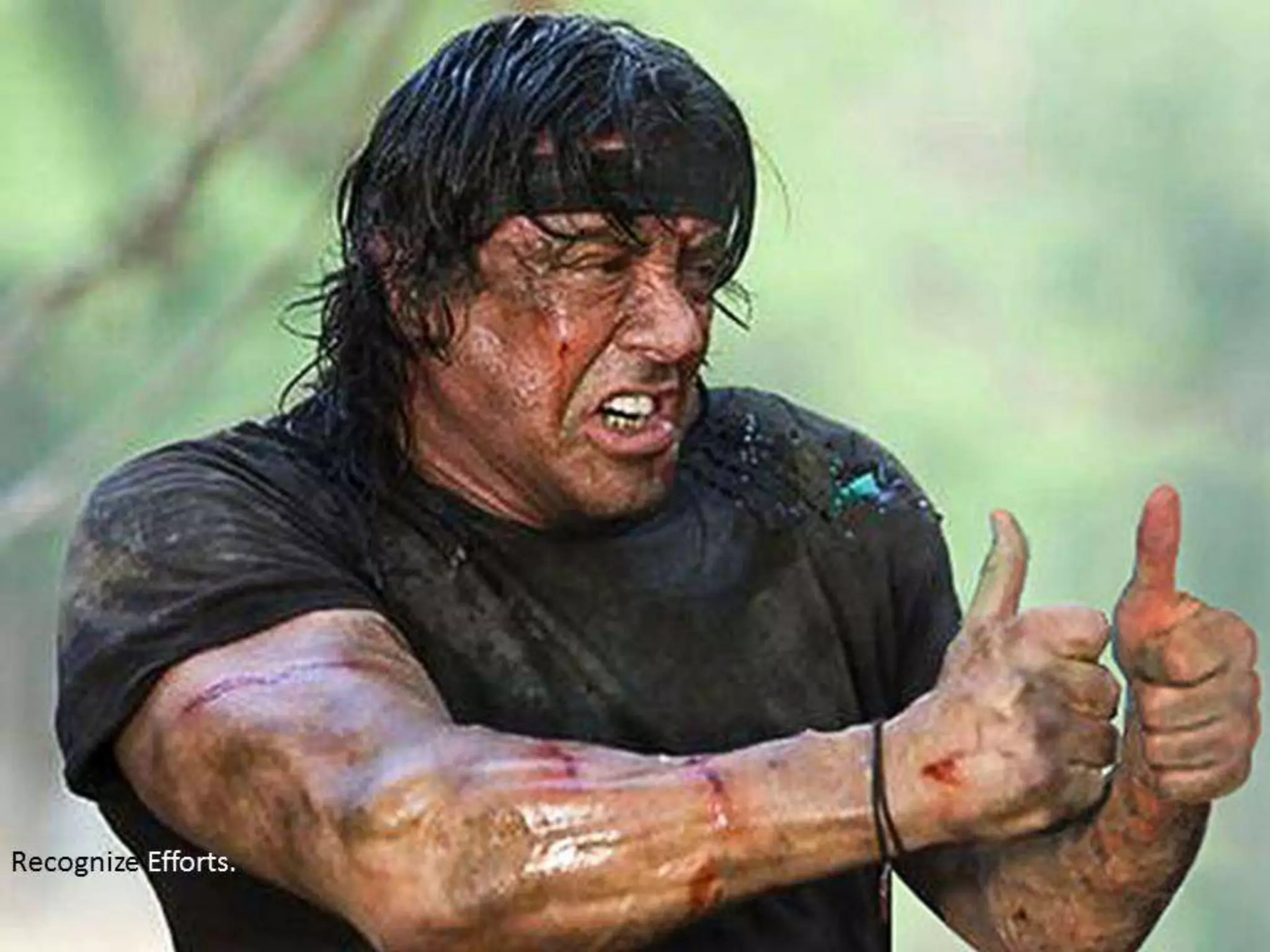 Making SFE Work for Field Force