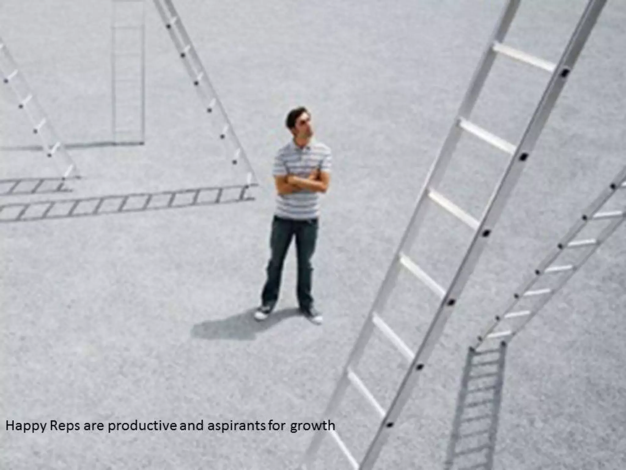 Making SFE Work for Field Force