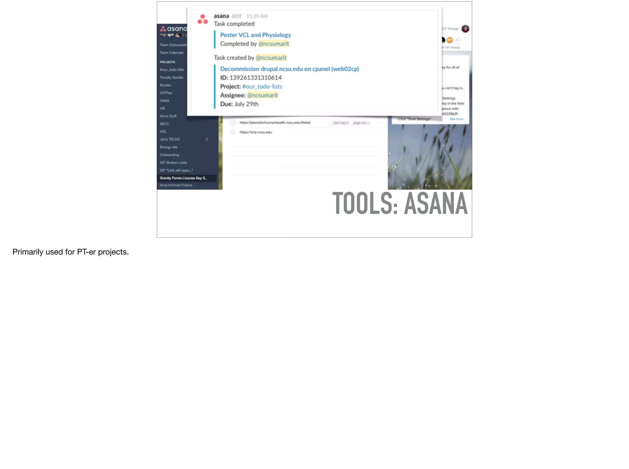 TOOLS: ASANA
Primarily used for PT-er projects.
 