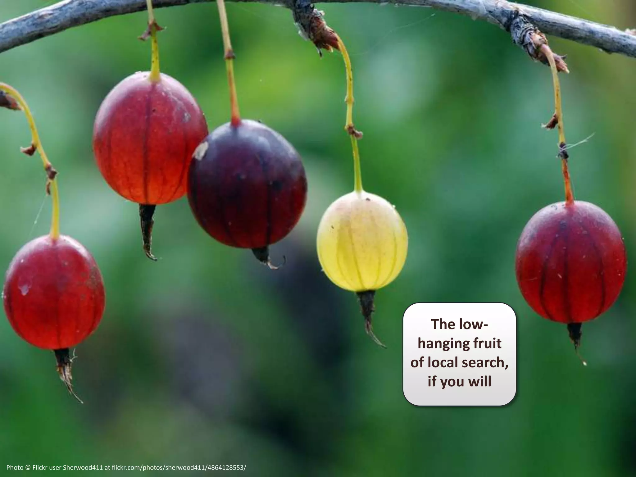 The low-
                                                                                hanging fruit
                                                                               of local search,
                                                                                  if you will




Photo © Flickr user Sherwood411 at flickr.com/photos/sherwood411/4864128553/
 