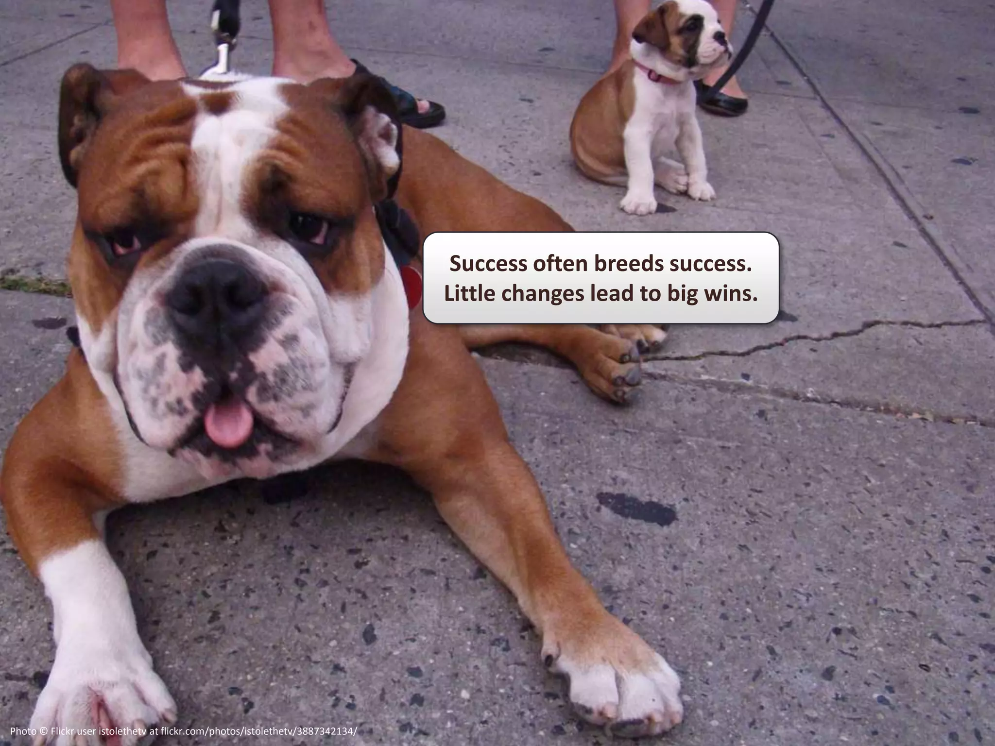 Success often breeds success.
                                                                               Little changes lead to big wins.




Photo © Flickr user istolethetv at flickr.com/photos/istolethetv/3887342134/
 