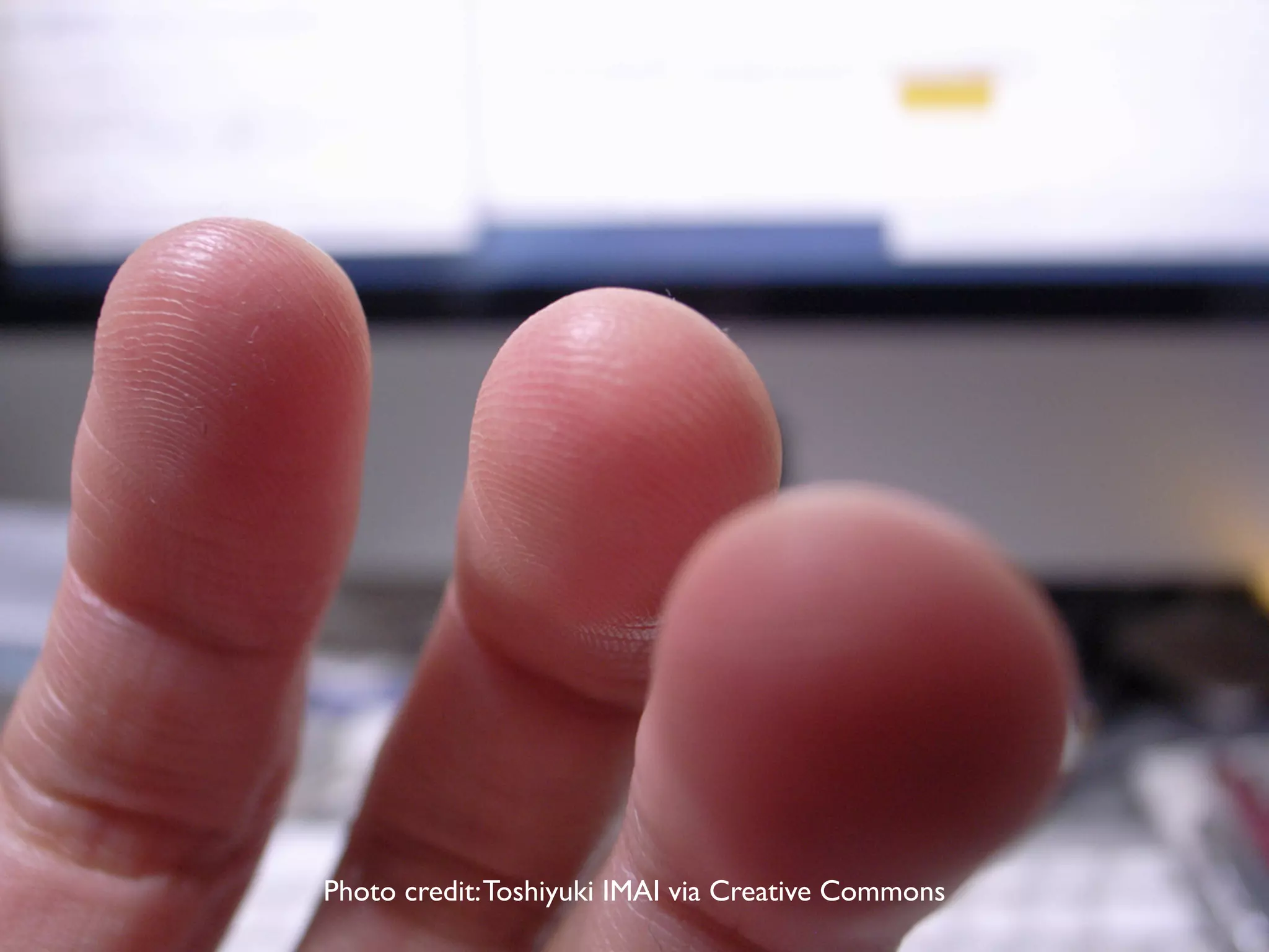 Photo credit:Toshiyuki IMAI via Creative Commons
 