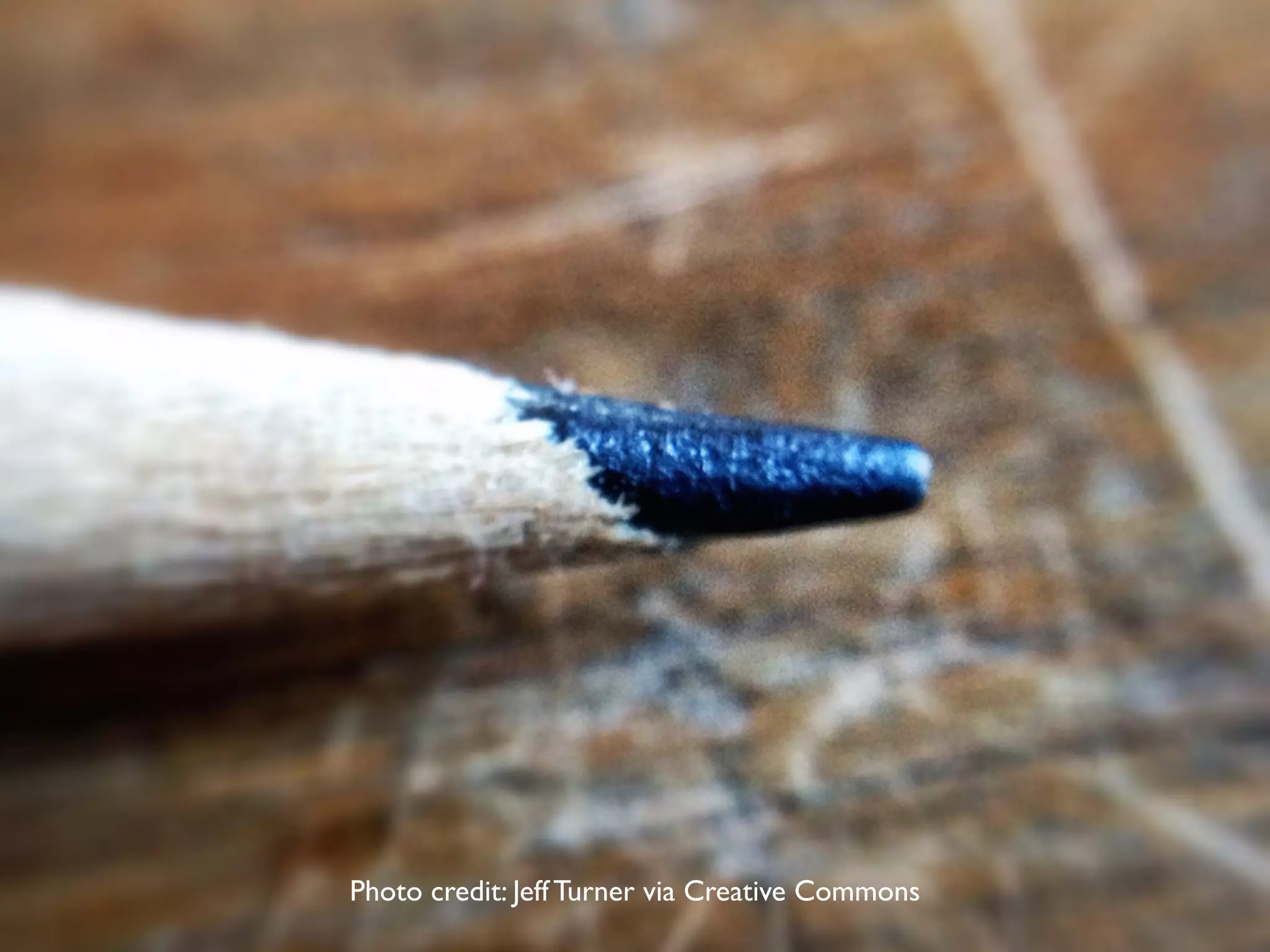 Photo credit: Jeff Turner via Creative Commons
 