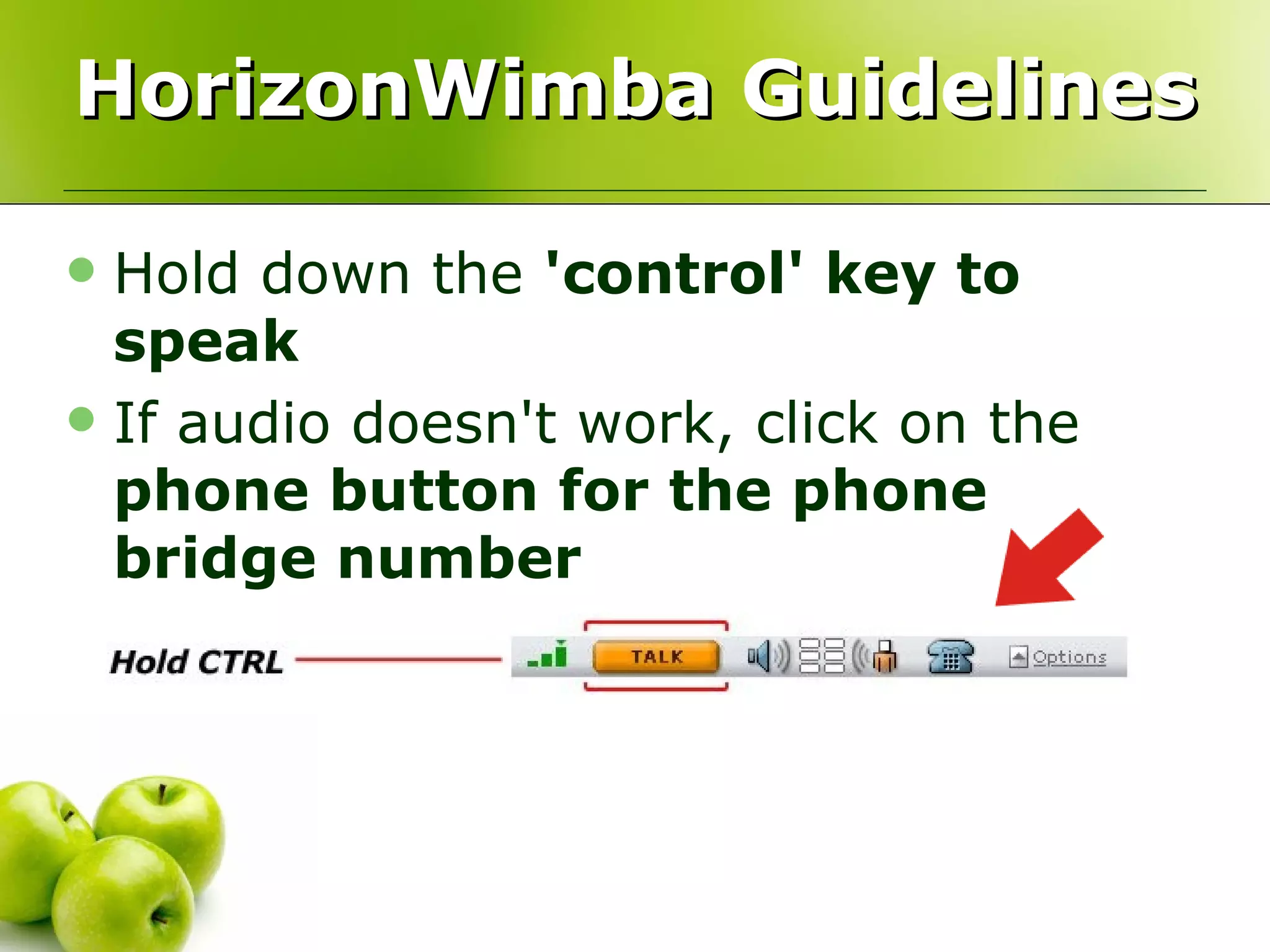 HorizonWimba Guidelines Hold down the  'control' key to speak   If audio doesn't work, click on the  phone button for the phone bridge number 