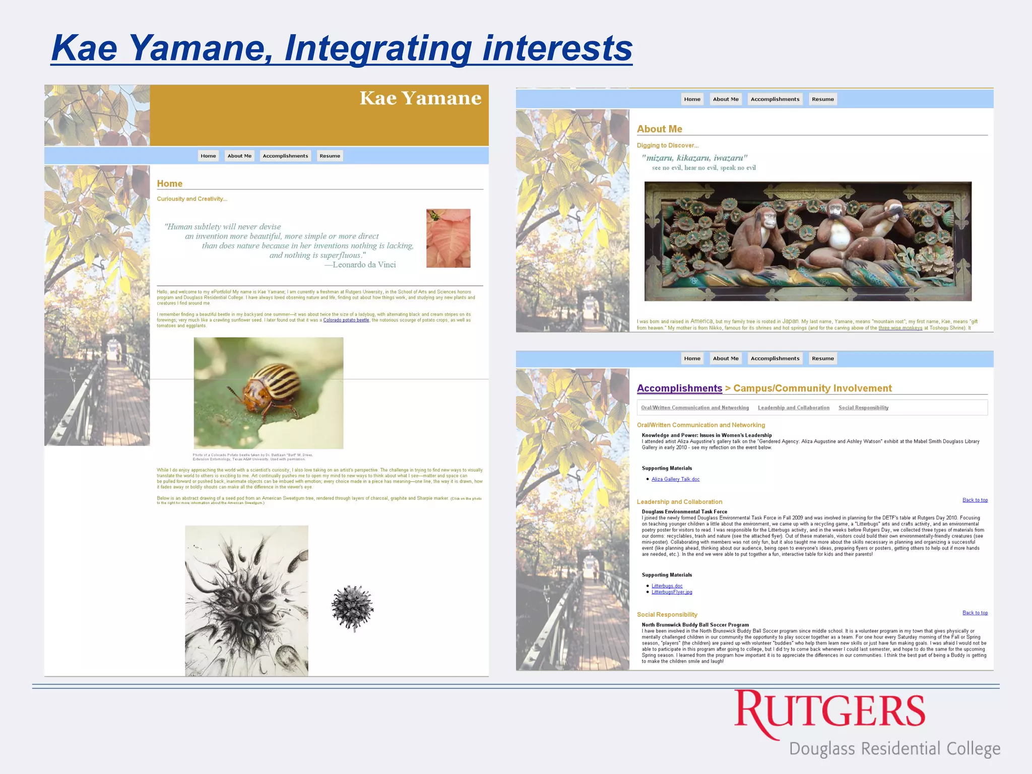 Kae Yamane, Integrating interests
 