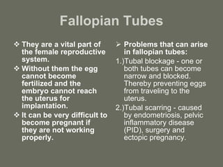 Fallopian Tubes They are a vital part of the female reproductive system. Without them the egg cannot become fertilized and the embryo cannot reach the uterus for implantation. It can be very difficult to become pregnant if they are not working properly. Problems that can arise in fallopian tubes: 1.)Tubal blockage - one or both tubes can become narrow and blocked. Thereby preventing eggs from traveling to the uterus. 2.)Tubal scarring - caused by endometriosis, pelvic inflammatory disease (PID), surgery and ectopic pregnancy. 