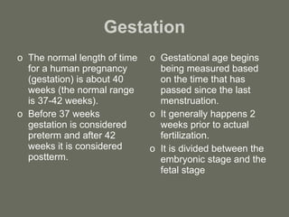Gestation The normal length of time for a human pregnancy (gestation) is about 40 weeks (the normal range is 37-42 weeks). Before 37 weeks gestation is considered preterm and after 42 weeks it is considered postterm. Gestational age begins being measured based on the time that has passed since the last menstruation. It generally happens 2 weeks prior to actual fertilization. It is divided between the embryonic stage and the fetal stage 