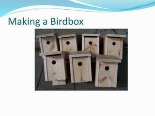 Making a Birdbox
 