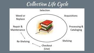 Collection Life Cycle
 