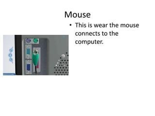 Mouse
• This is wear the mouse
connects to the
computer.
 