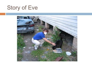 Story of Eve 
 