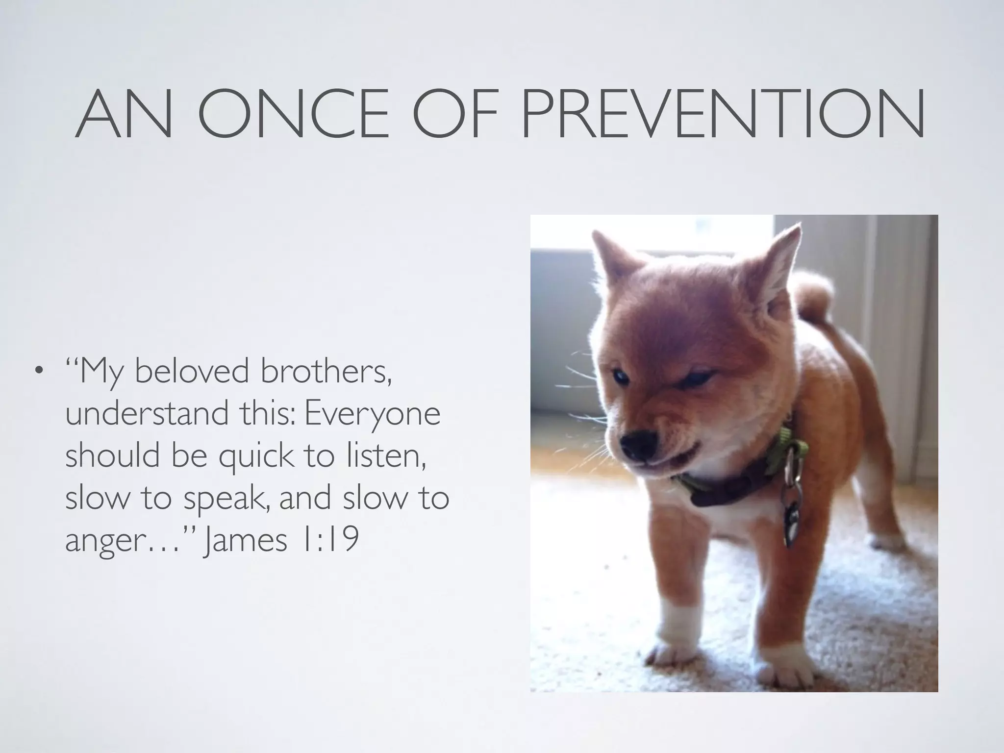 AN ONCE OF PREVENTION
• “My beloved brothers,
understand this: Everyone
should be quick to listen,
slow to speak, and slow to
anger…” James 1:19
 