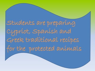 Students are preparing 
Cypriot, Spanish and 
Greek traditional recipes 
for the protected animals 
 
