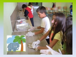 Making animal shaped dishes,GRESCY