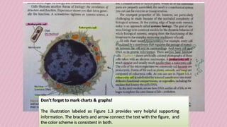 Using Annotation In Science Making annotations | PPTX