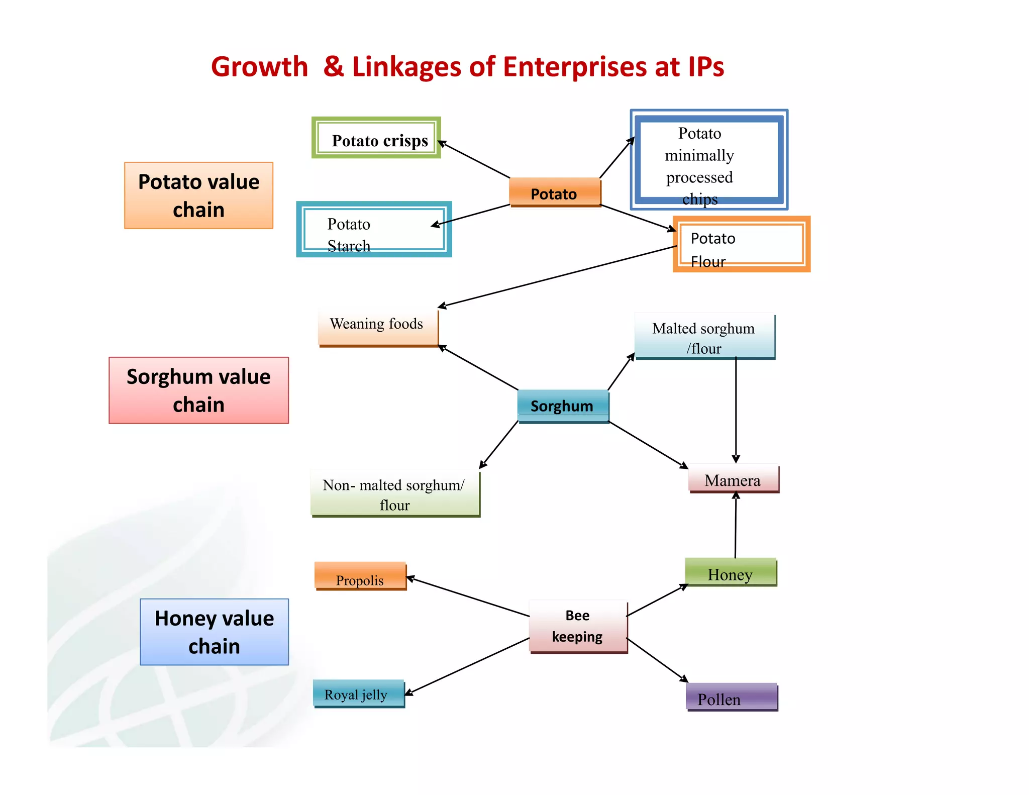 Growth & Linkages of Enterprises at IPs 
Sorghum value 
chain 
Honey value 
chain 
Potato 
Sorghum 
Bee 
keeping 
Potato 
minimally 
processed 
chips 
Potato crisps 
Potato 
Flour 
Potato 
Starch 
Malted sorghum 
/flour 
Weaning foods 
Non- malted sorghum/ 
flour 
Mamera 
Propolis 
Royal jelly 
Honey 
Pollen 
Potato value 
chain 
 